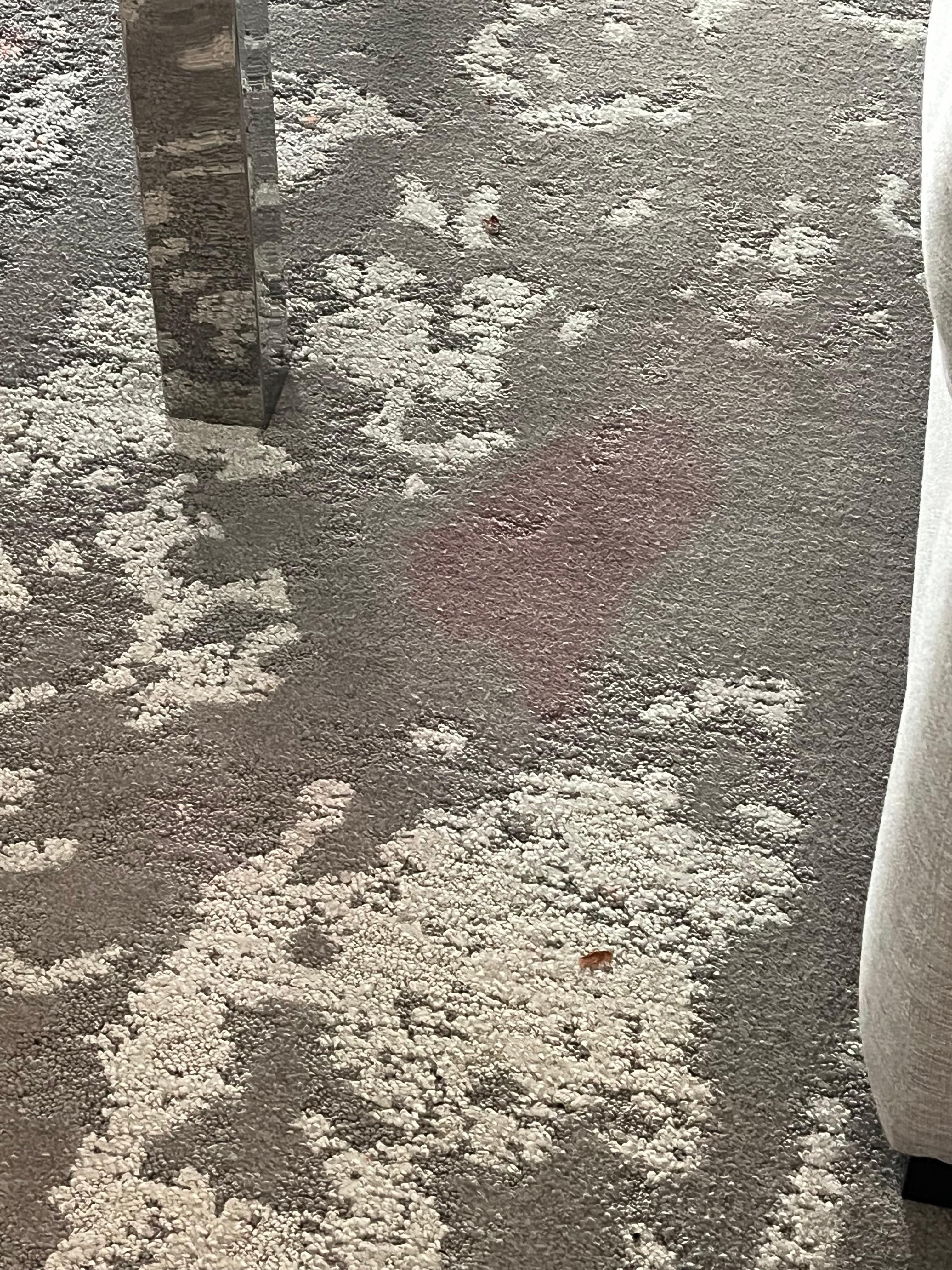 Took pictures as soon as we got in our room