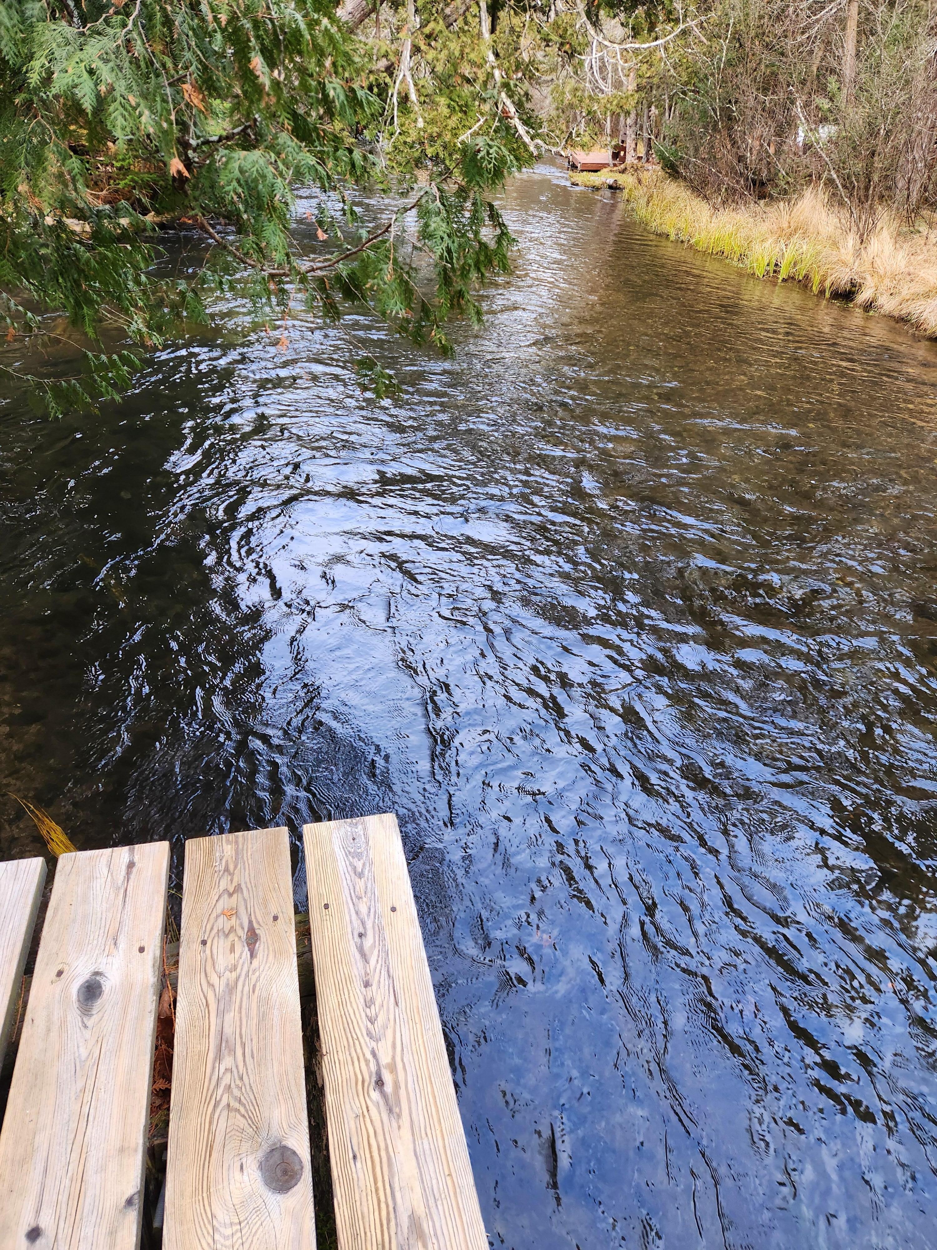 View downstream of Big Creek at the cabin. 