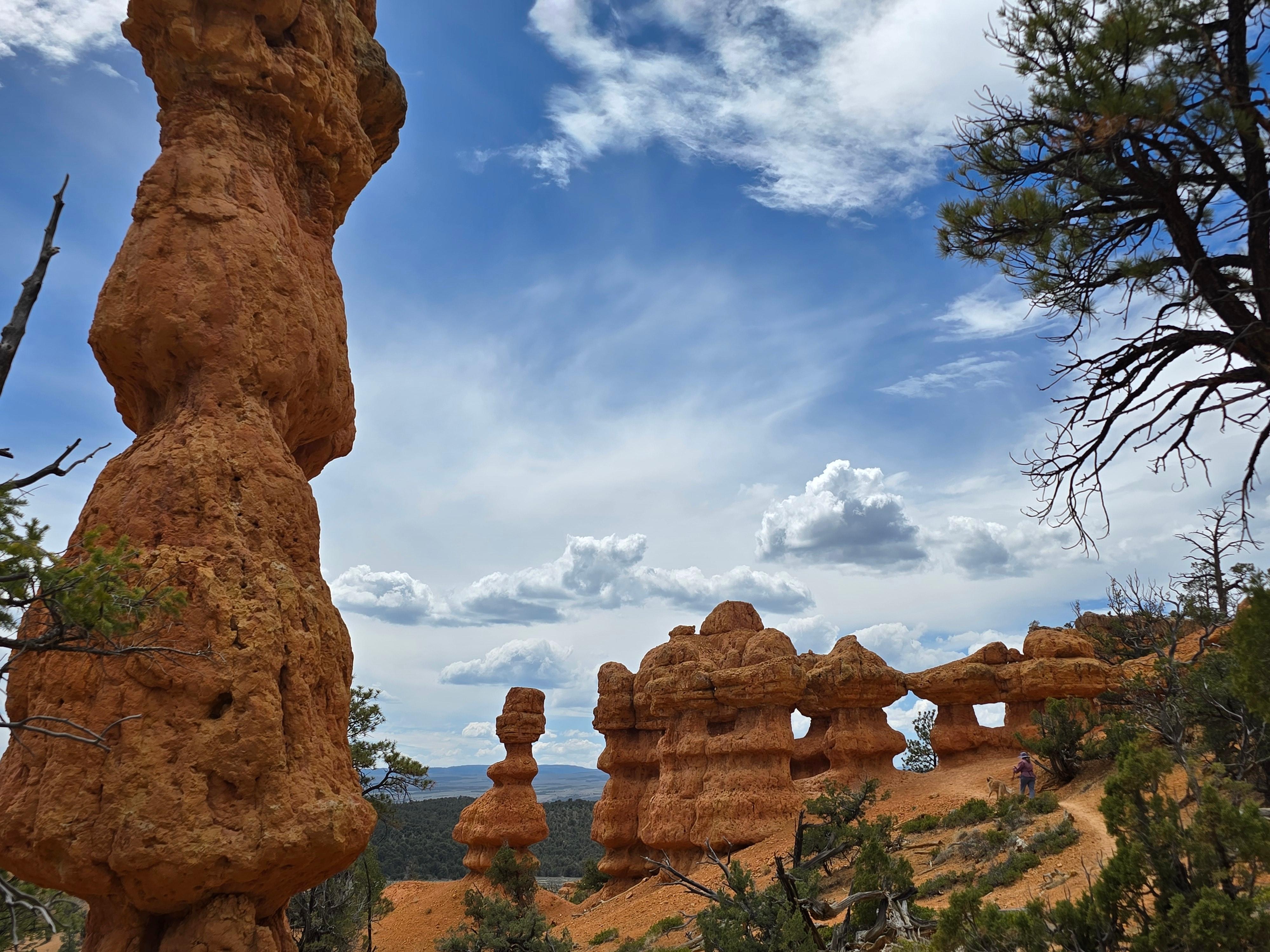 Dixie National Forest -Arches Trail