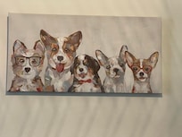 What's not to love about corgis with glasses?