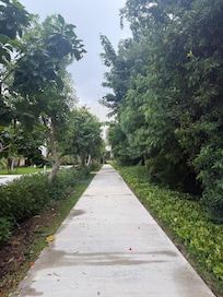 Walking trail
