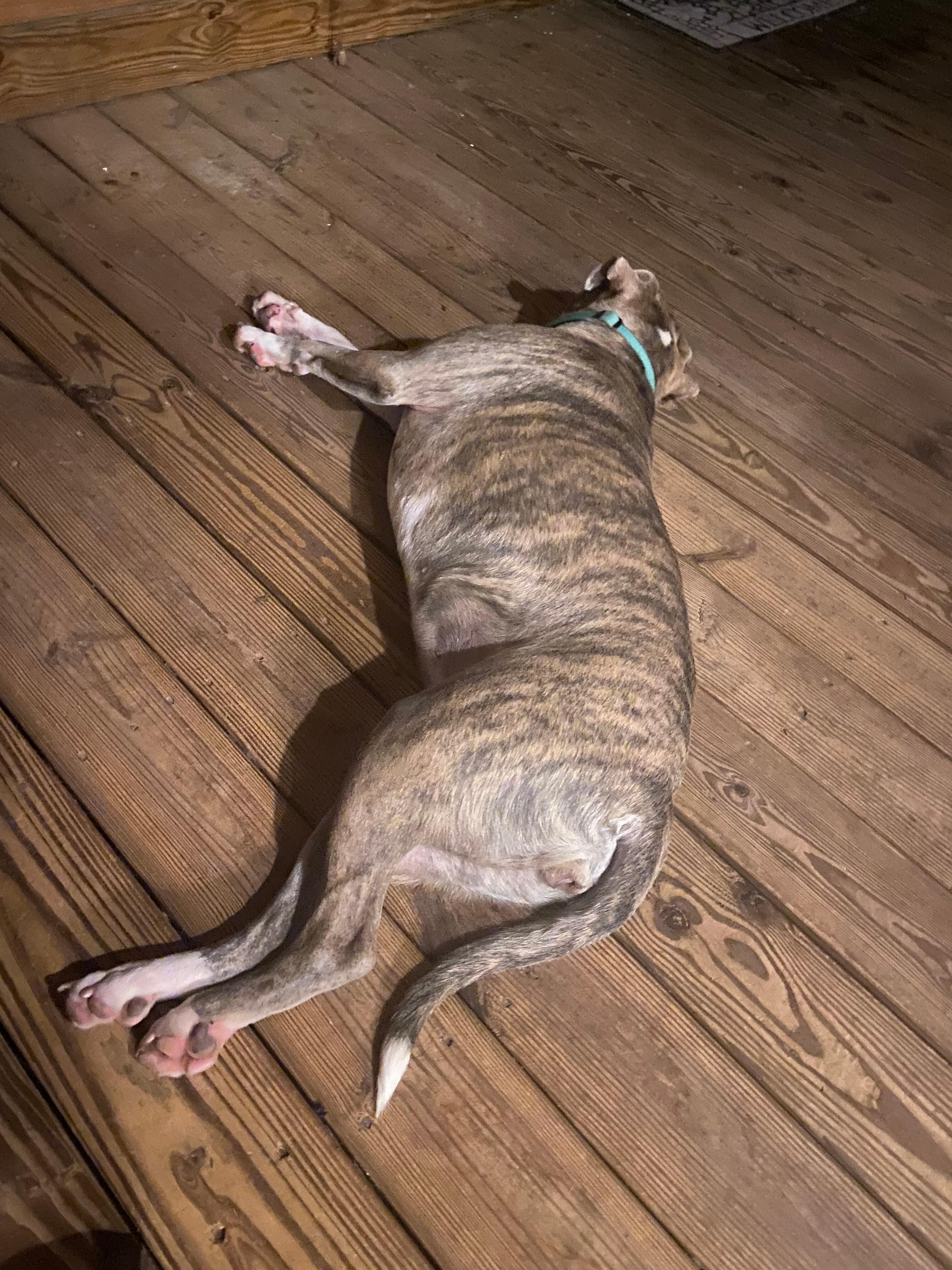 Resting after a long day