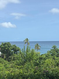 View from terrace
