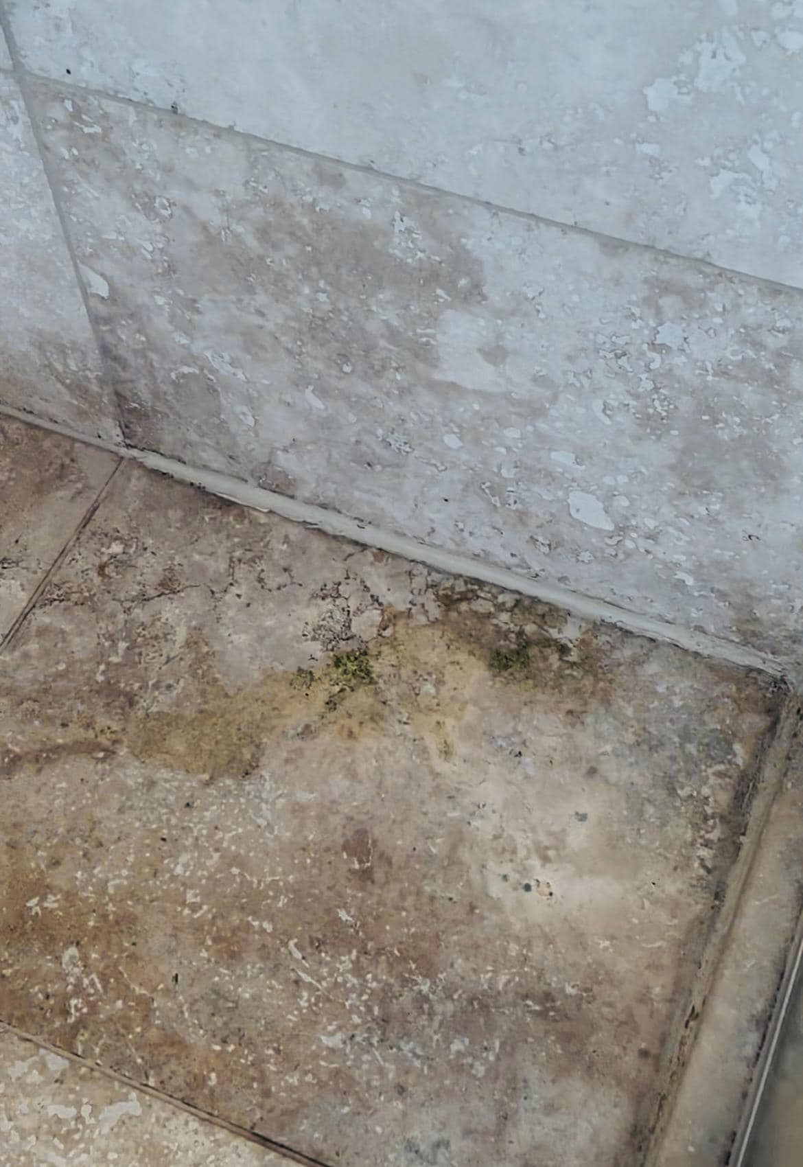 Shower floor main bath - mould