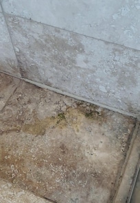 Shower floor main bath - mould