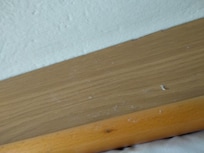 Polvo y sábanas sucias