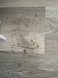 Dirty floor next to couch