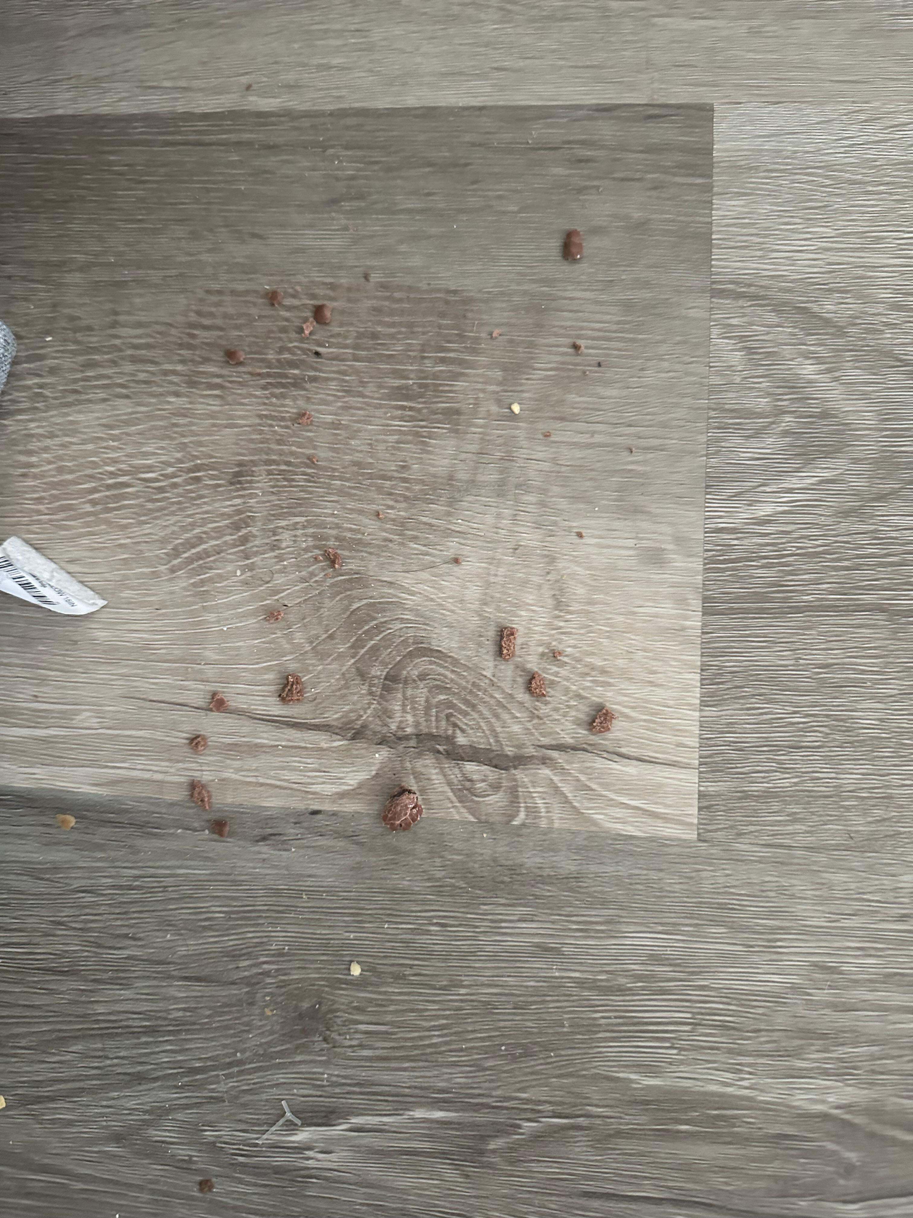 Dirty floor next to couch 