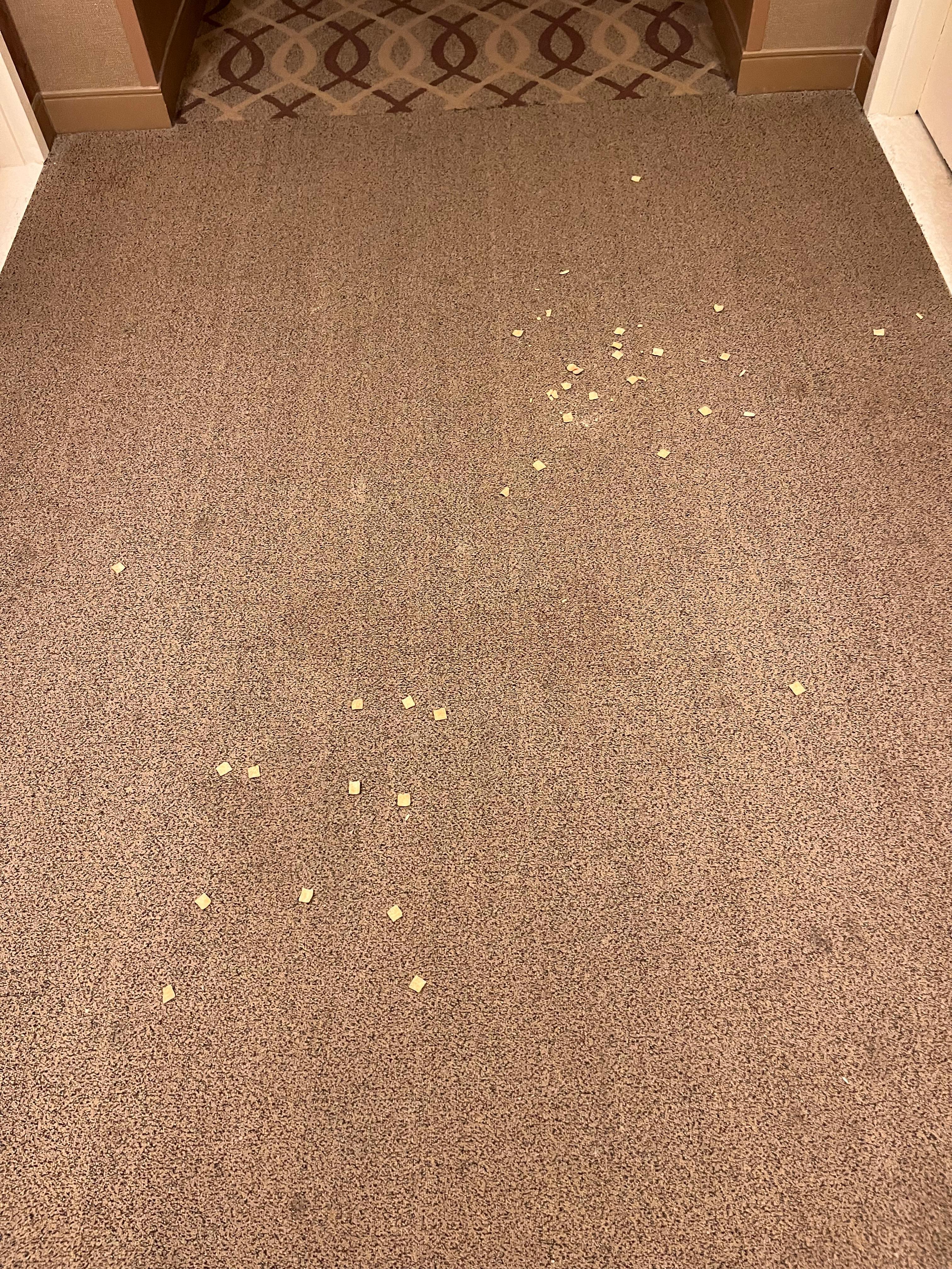 Hallway! Someone spilled something and it stayed this way the entire duration of our stay 