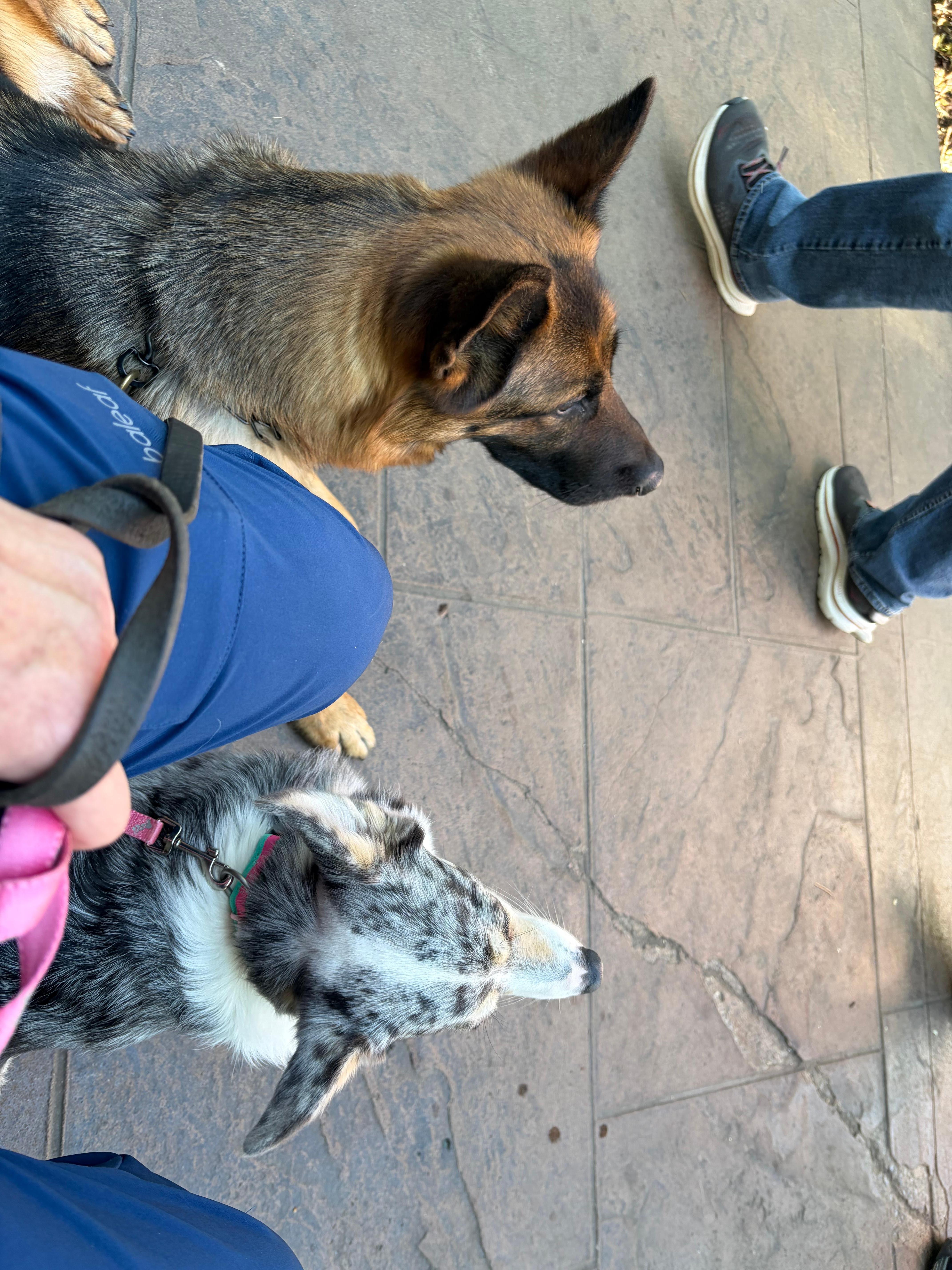 People watching at the Island 