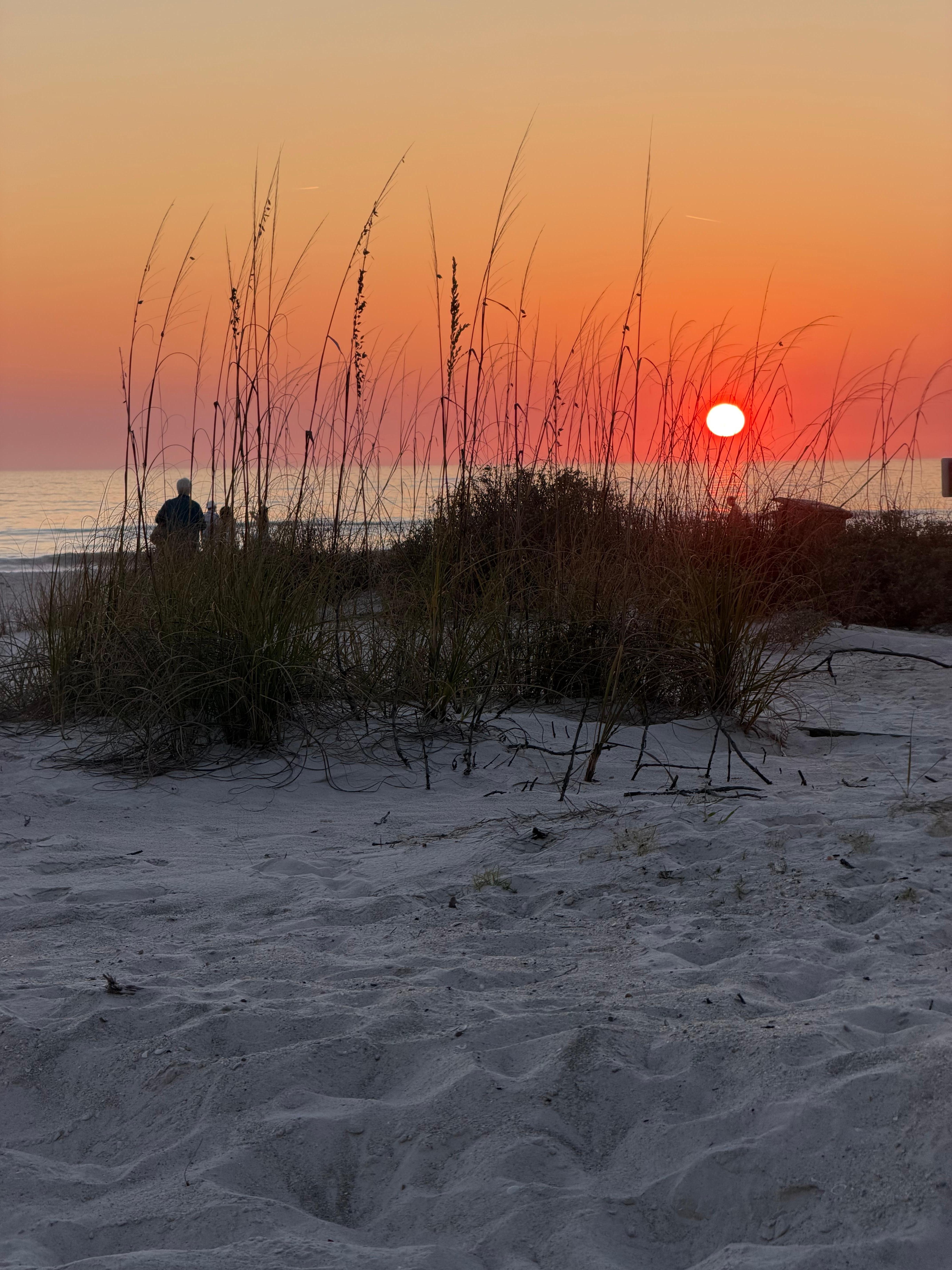 View from building edge