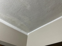 Horrible paint