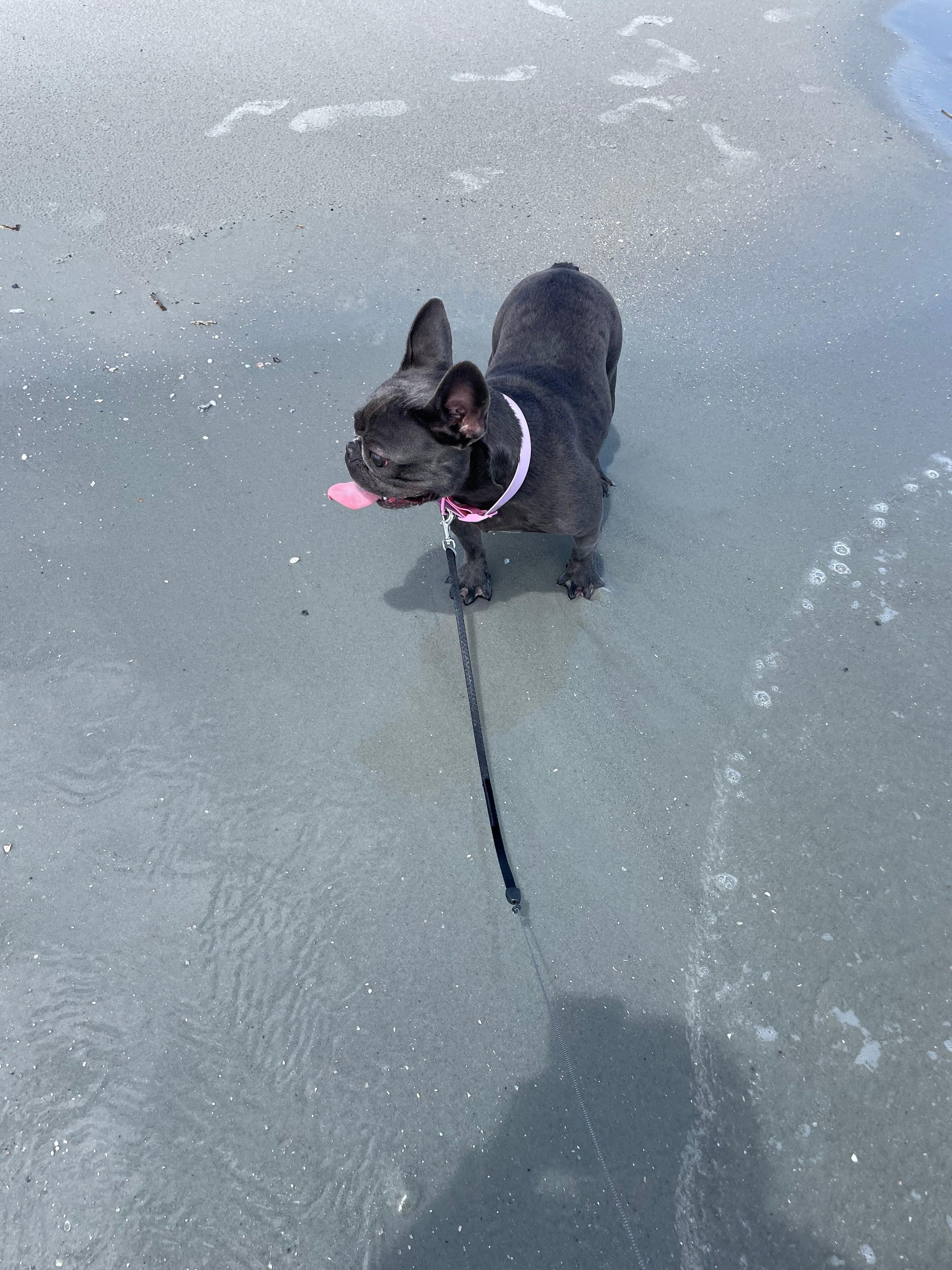 EllaJae enjoyed her first trip to the beach 🏖️ 