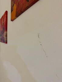 Insekter på væggene under hele opholdet Frida rengøring