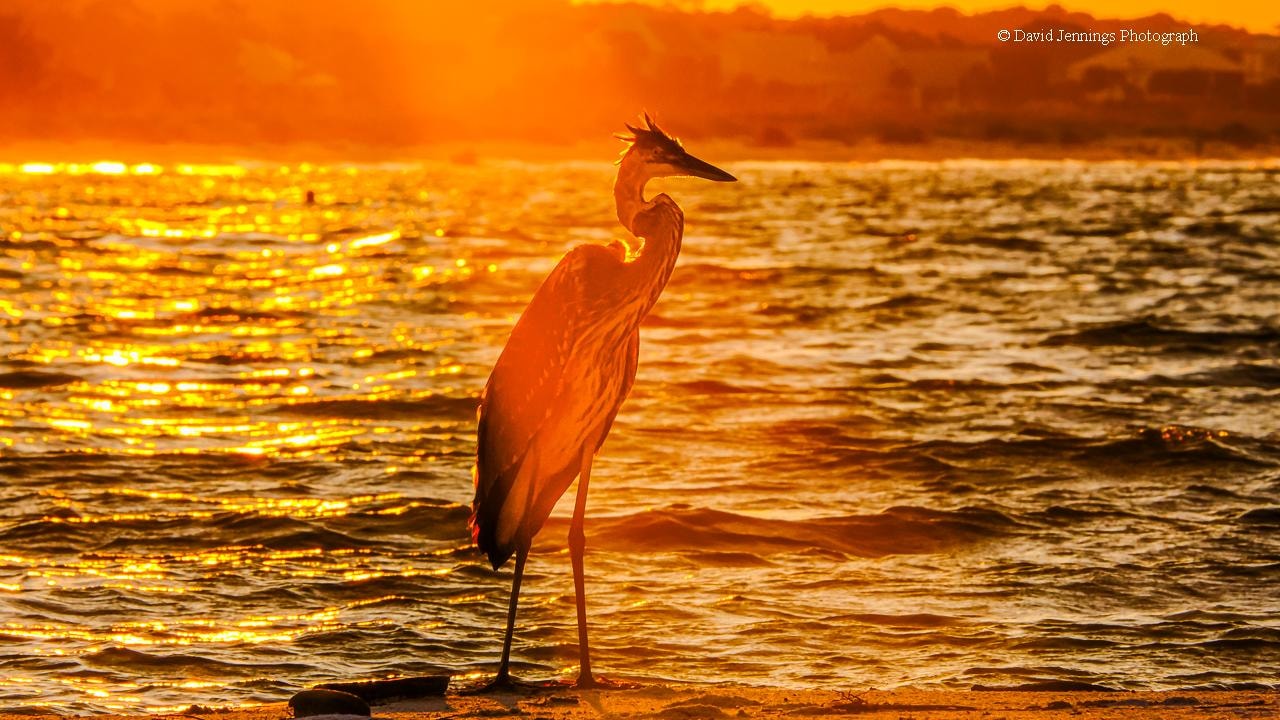 Sunrise on the beach