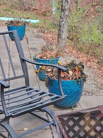 Management refused to do anything about all the dead annuals saying they've never had a complaint in their 10 years of managing rentals.