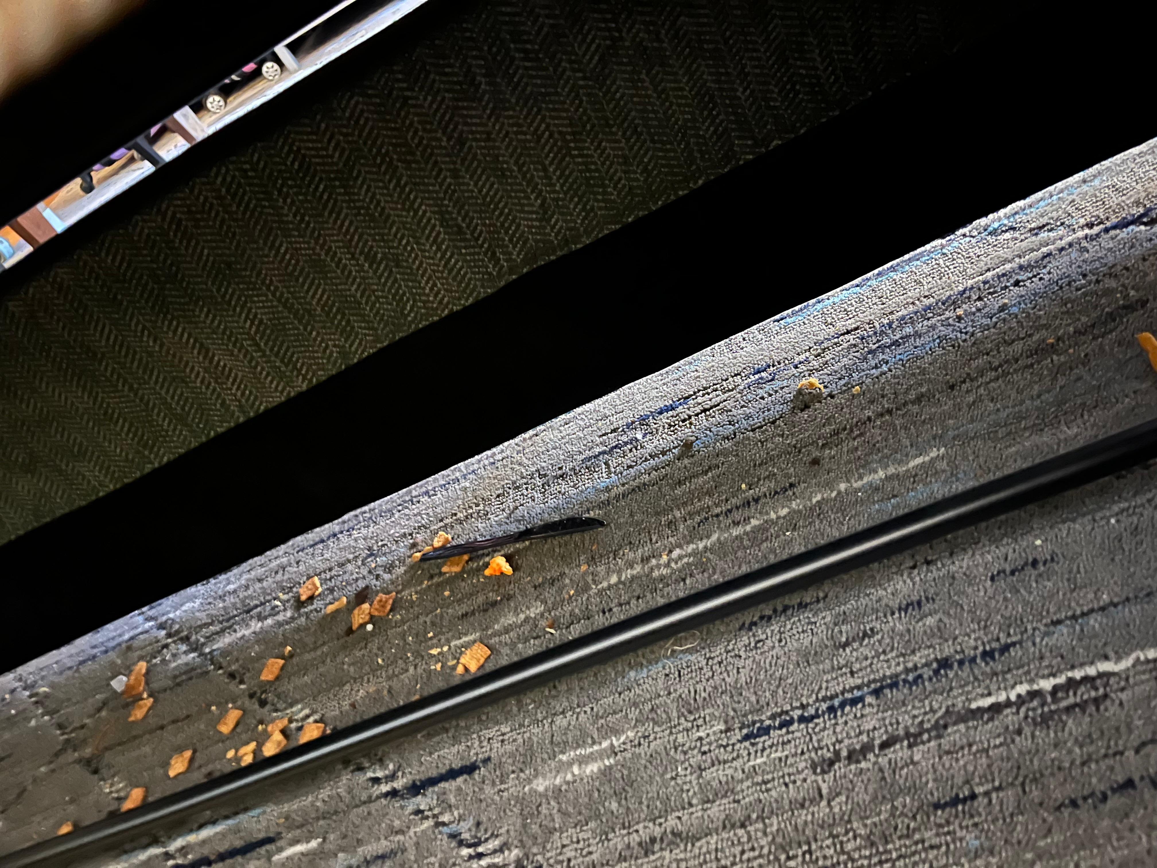 This area was never checked or clean prior yo our stay