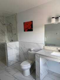 Spacious bathroom with walking shower