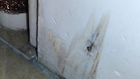 Water stains in kitchen area which maybe brought in the bugs?