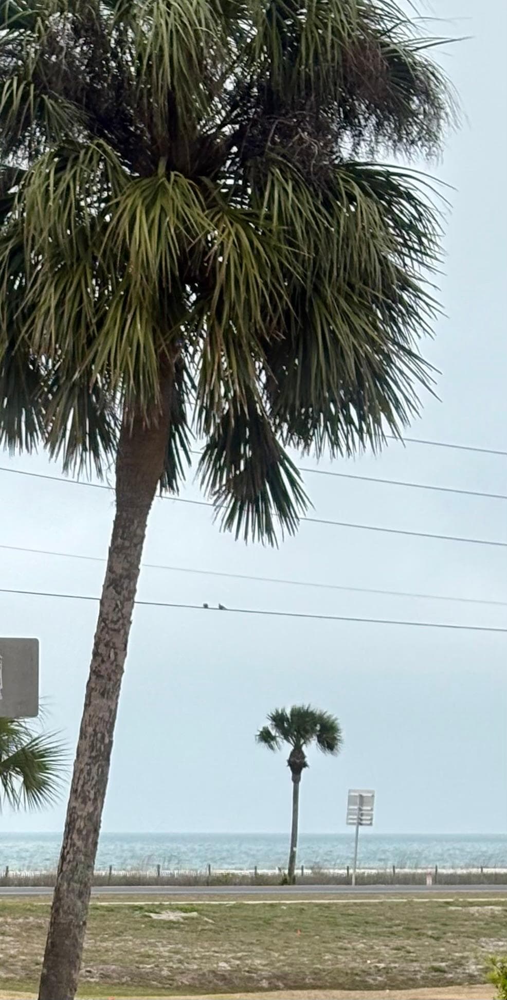 View from the front door