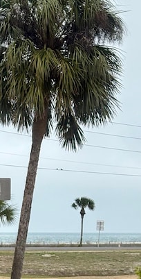 View from the front door