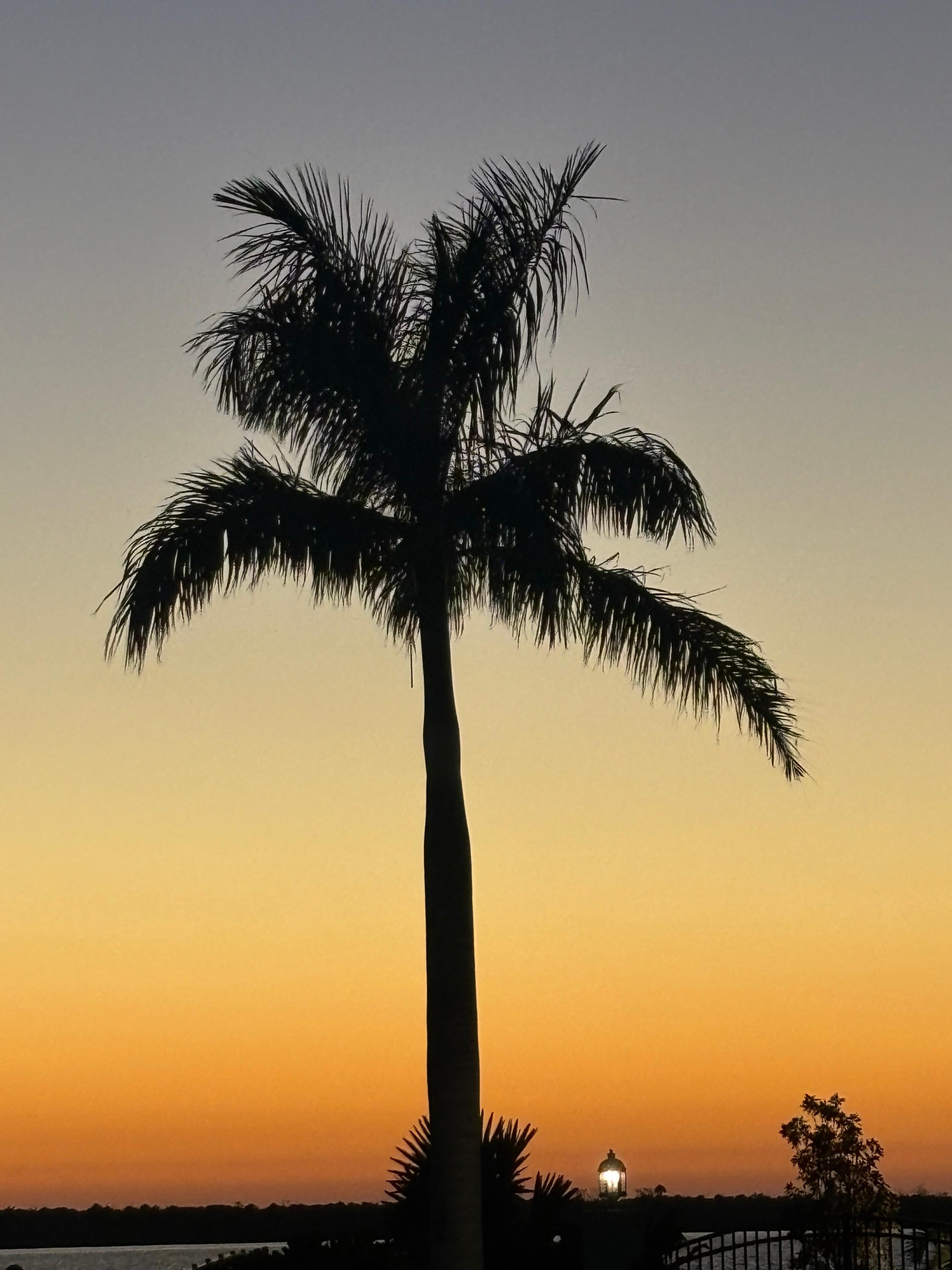 Photo from end of the road.