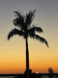 Photo from end of the road.