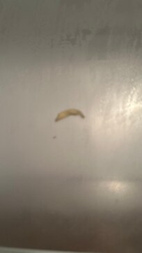Toenail in the refrigerator