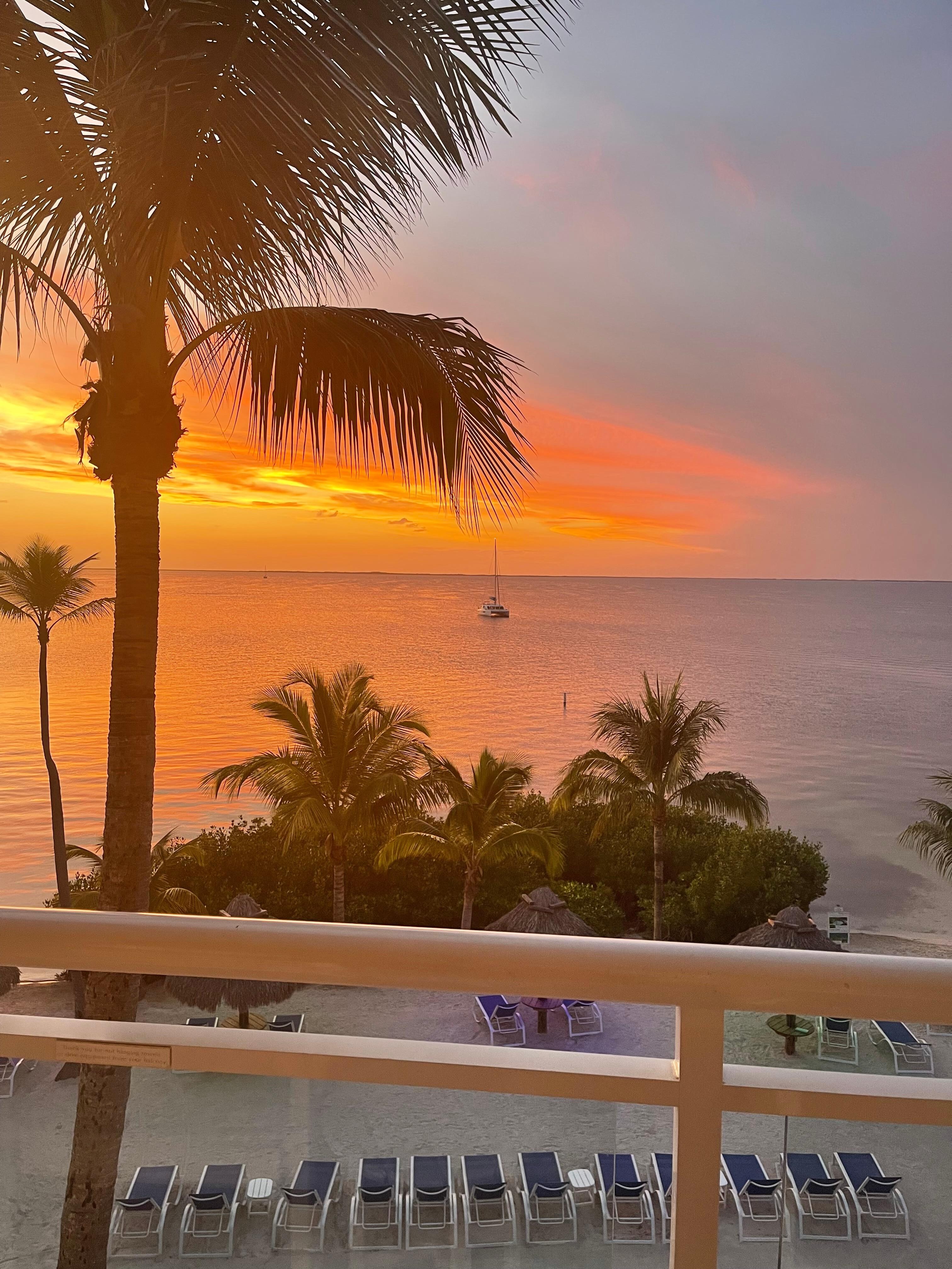 Room view 