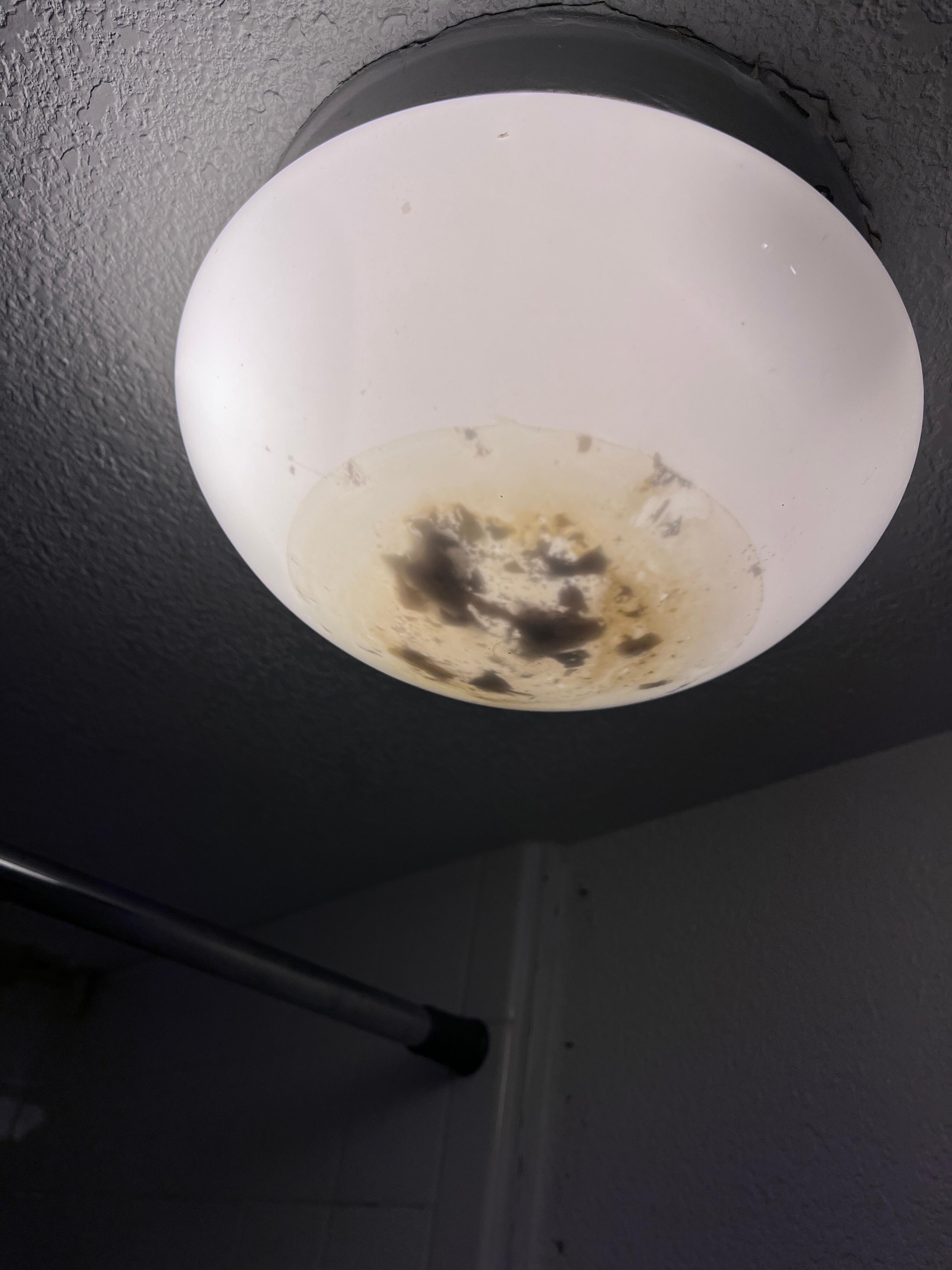 Bathroom light