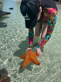 Sea life to amaze. TIP: Don't lift starfish from water for more than few seconds as they can die.