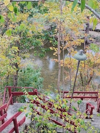 The creek behind the house.