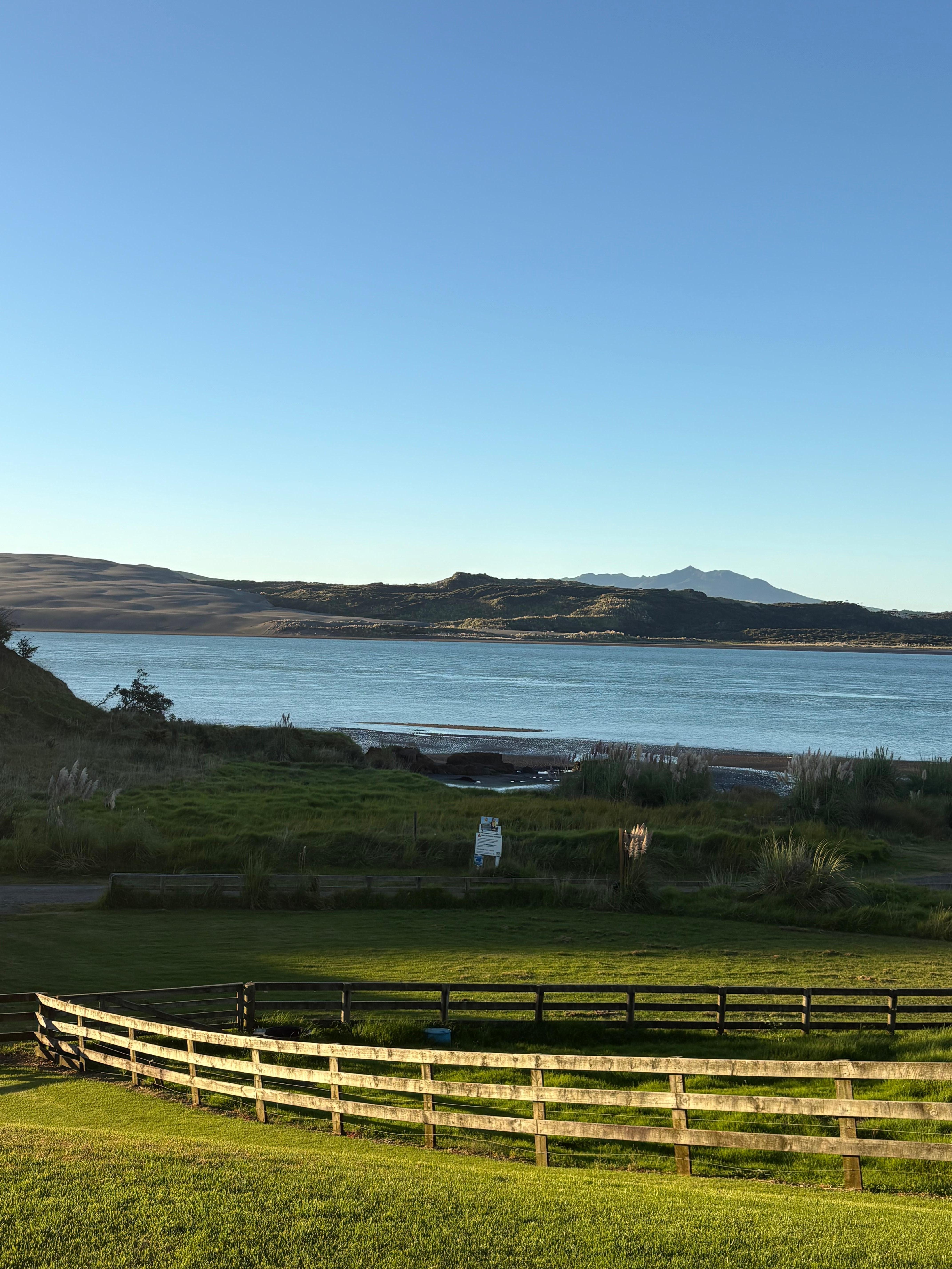 Morning wake up view 