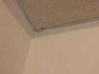 Ceiling damage -- water?
