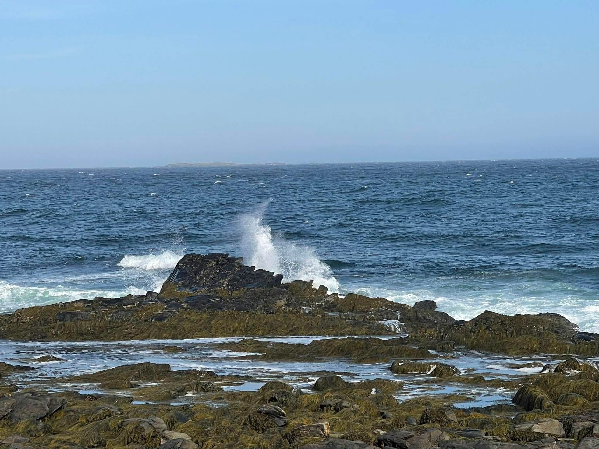 Nearby oceanside accessible by foot in minutes