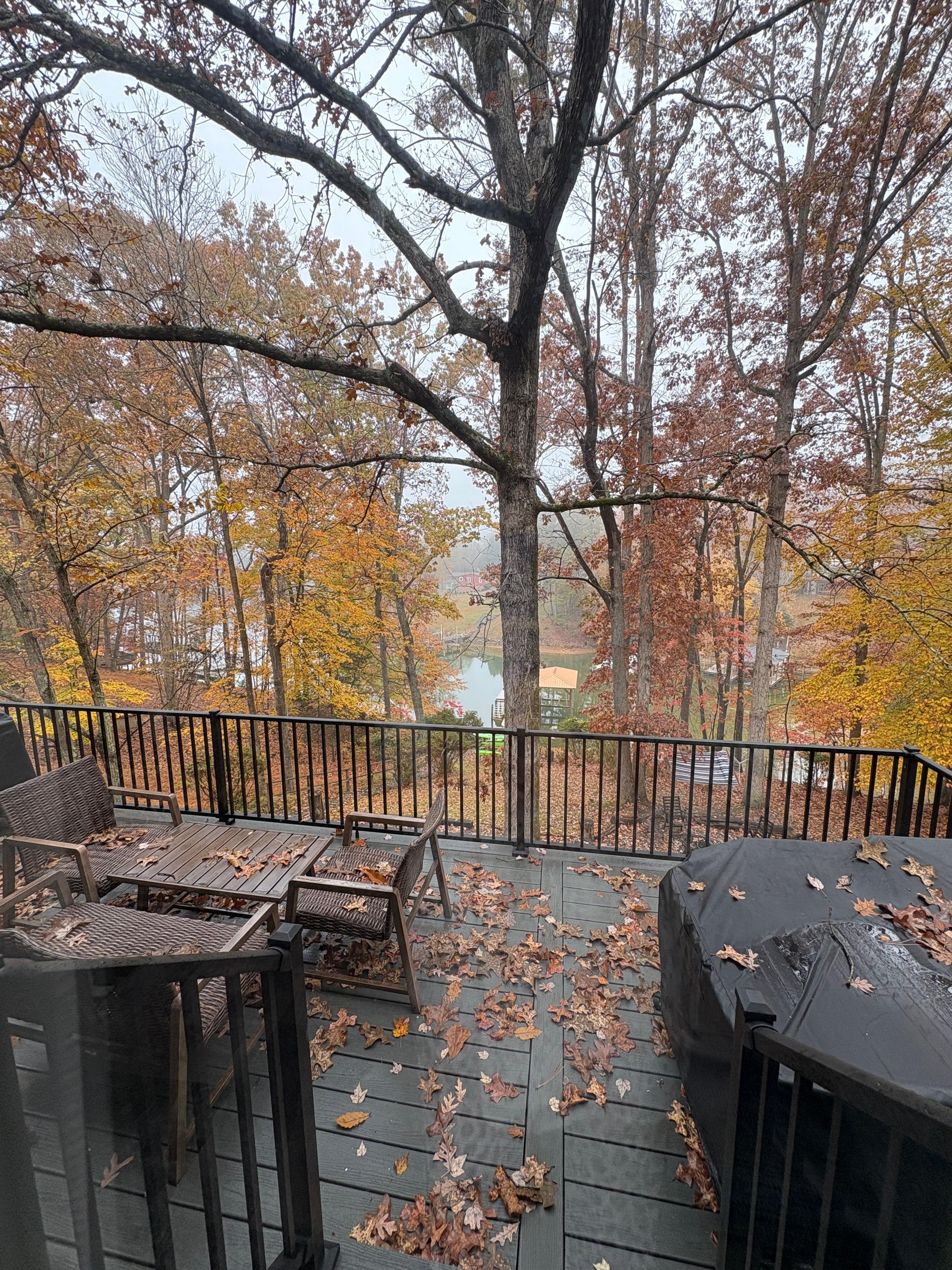 Even beautiful in the rain!