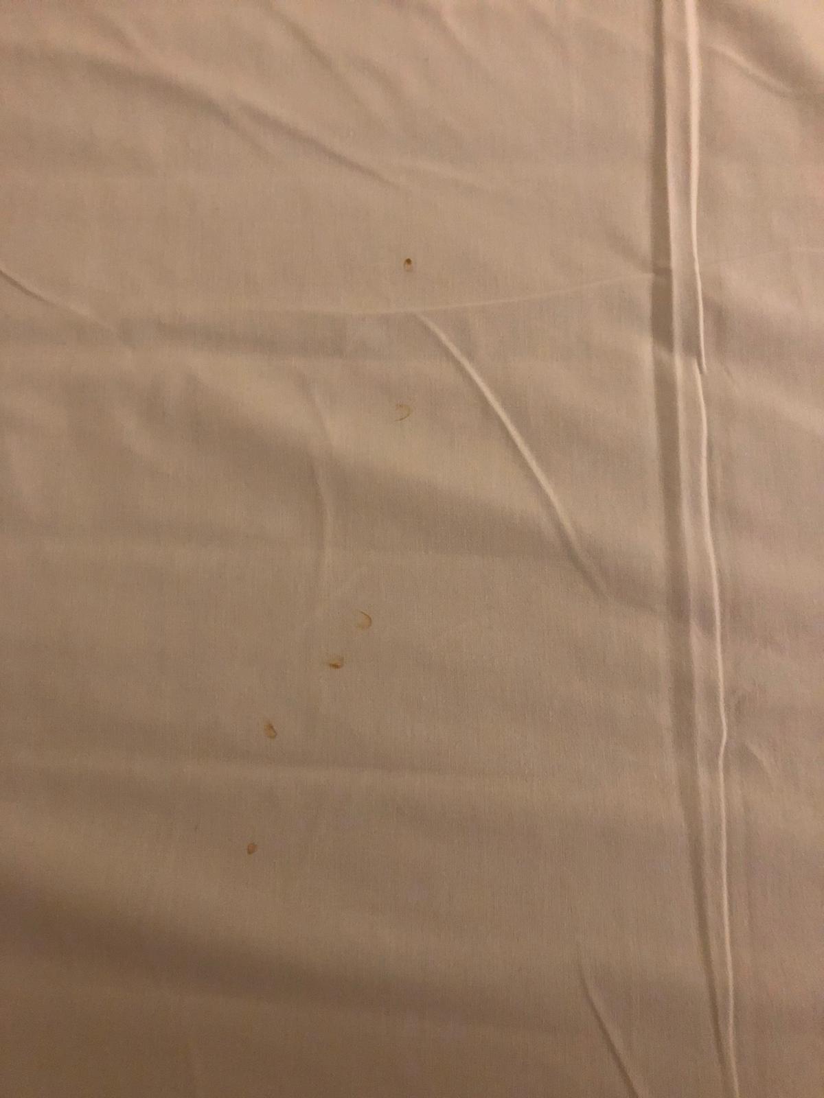 Stains that looked like dried up blood and black streaks on sheets