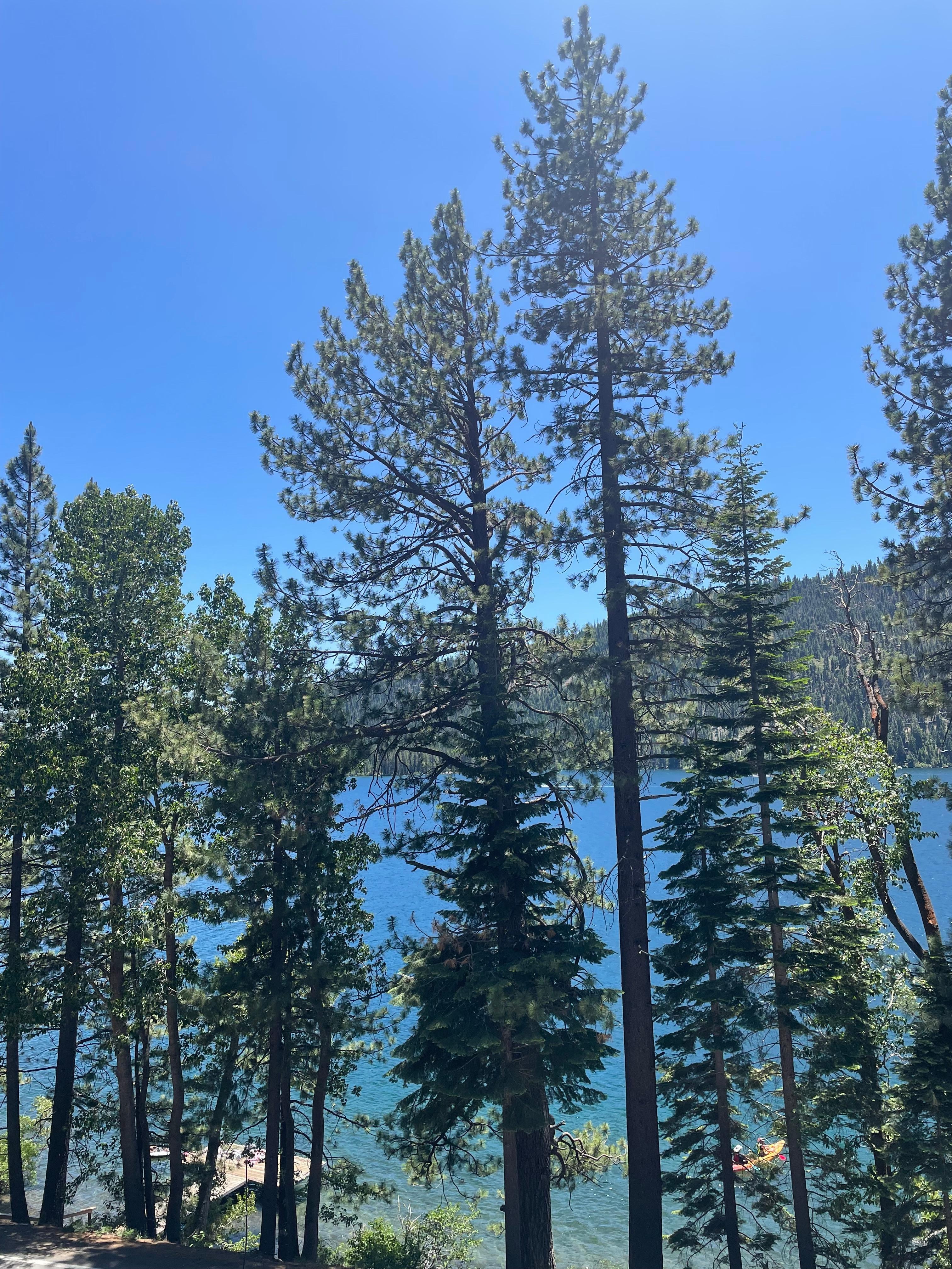 View from the balcony! 