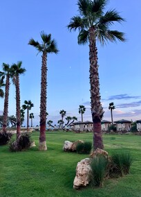 Bellla naturaleza y jardines