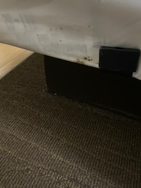Bed bug droppings
