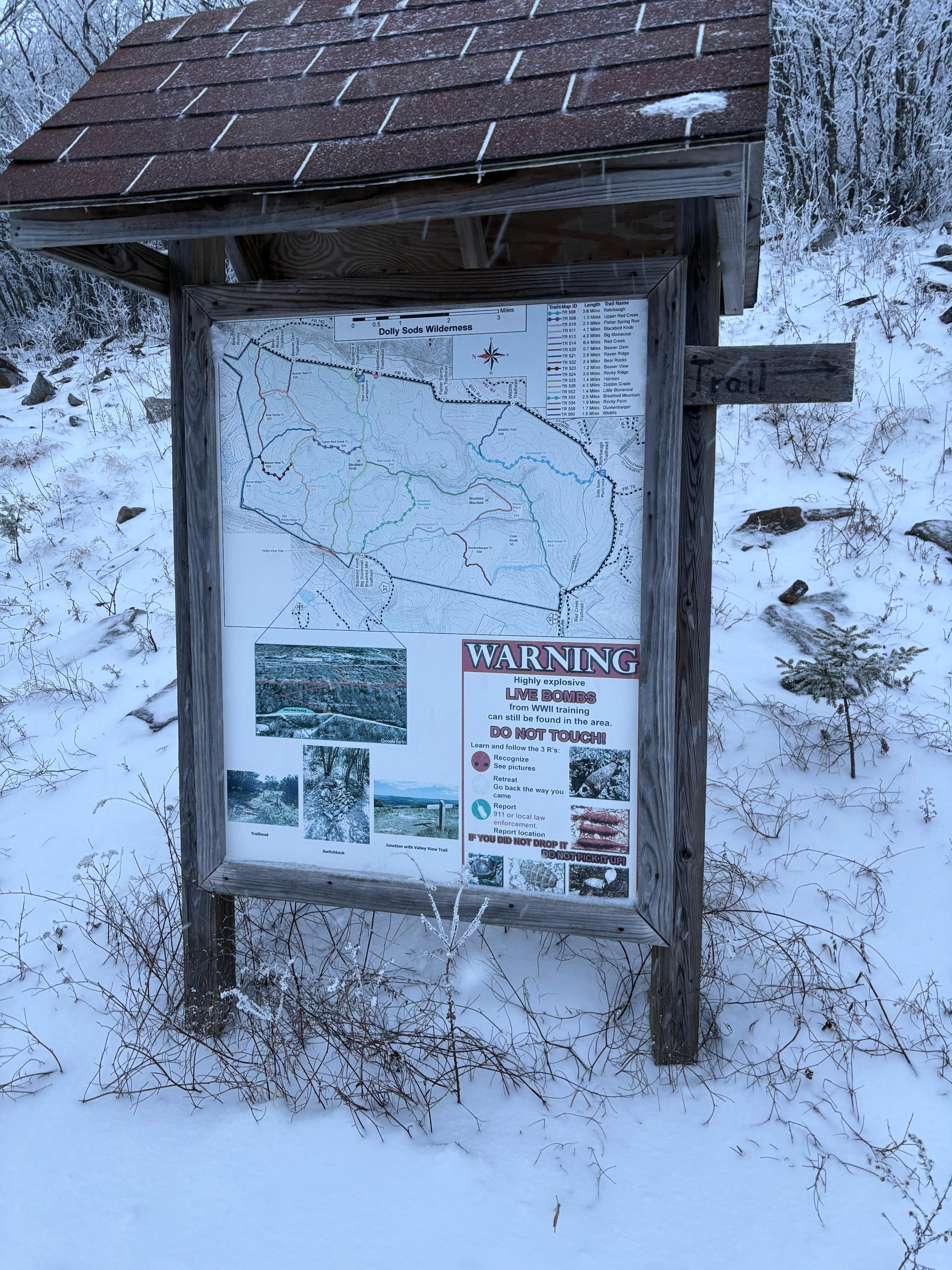 Short walk to hiking trails! We braved the snow for a short hike 