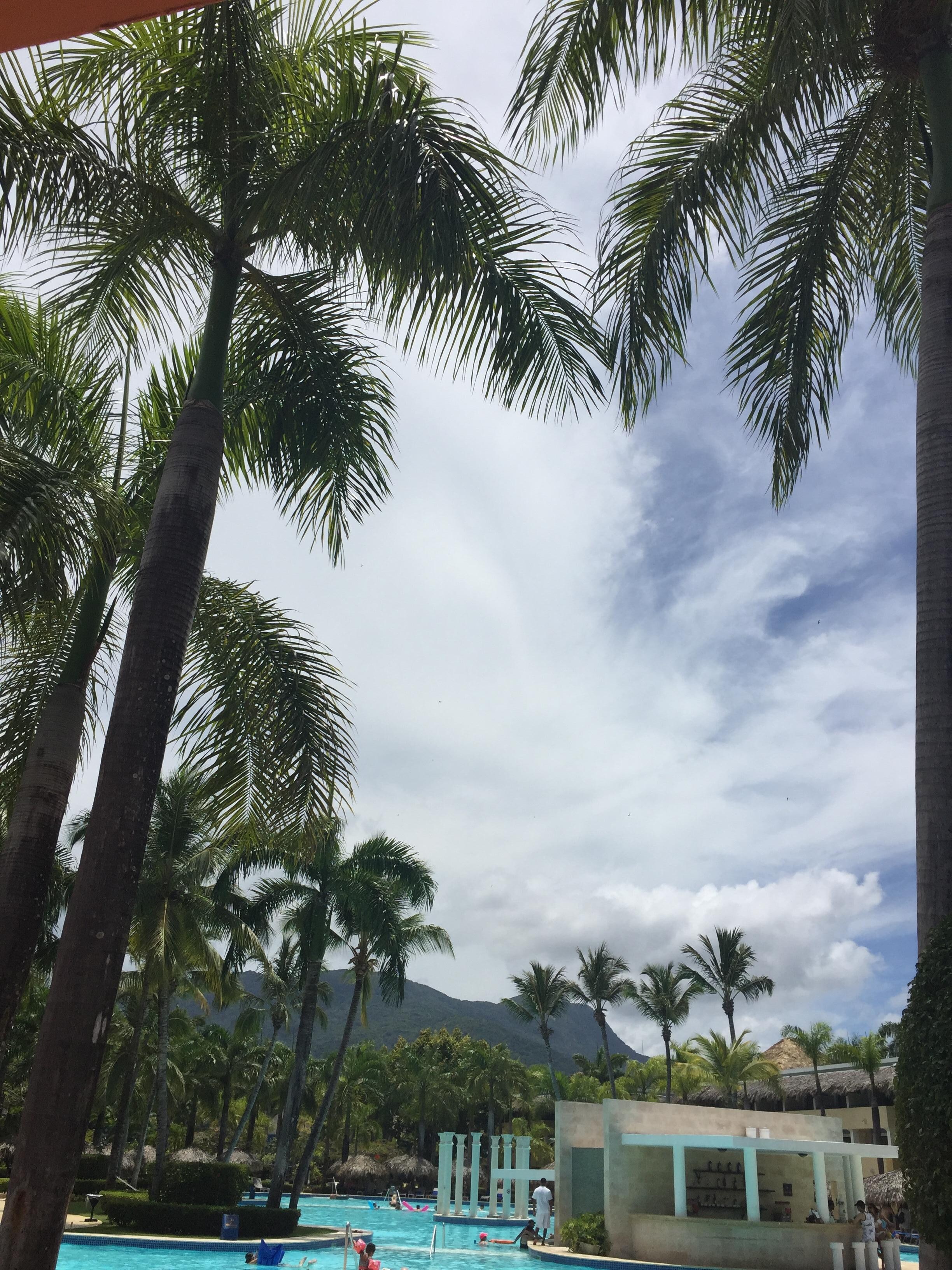 Poolside view