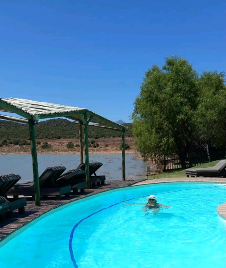 Pool with a view