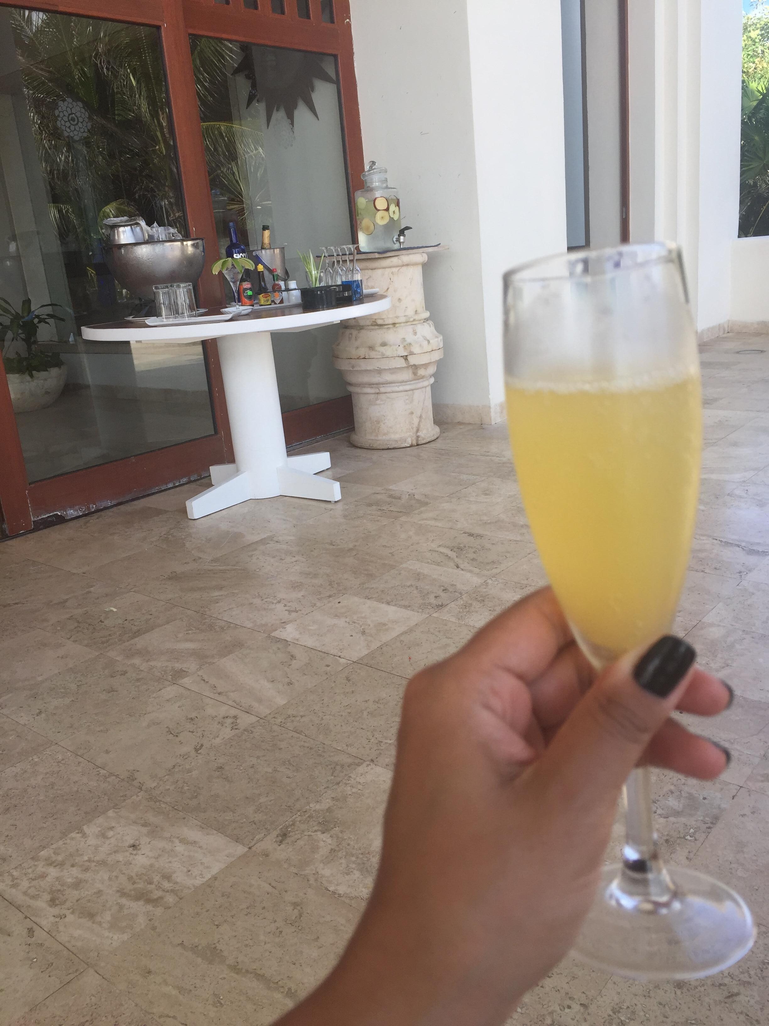 Mimosa !