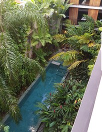 Tropical jungle garden view 👌