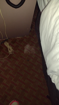 Right beside my bed in room 136