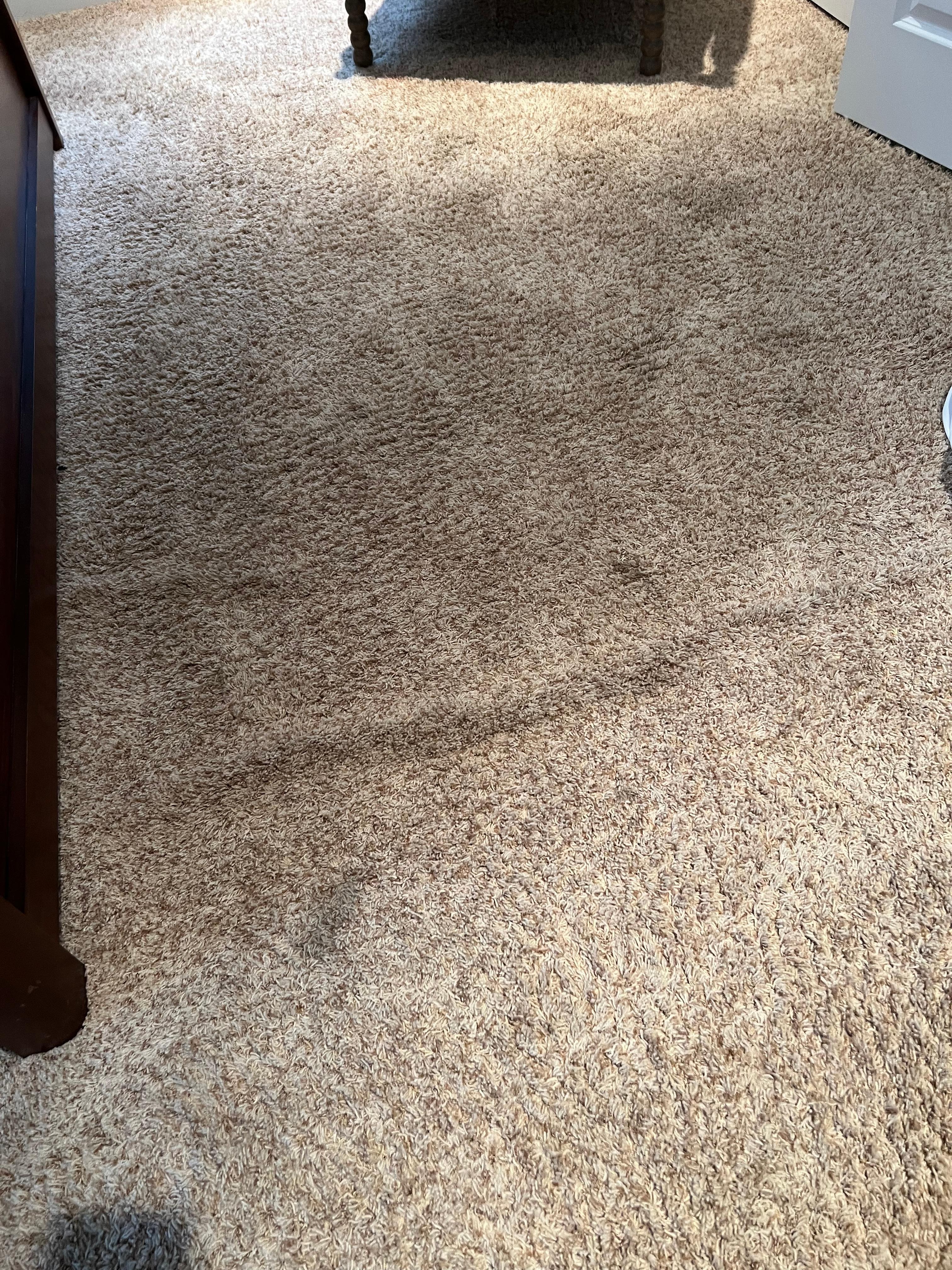 Carpet in master bedroom 