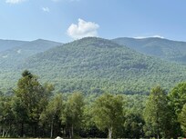 View from the porch