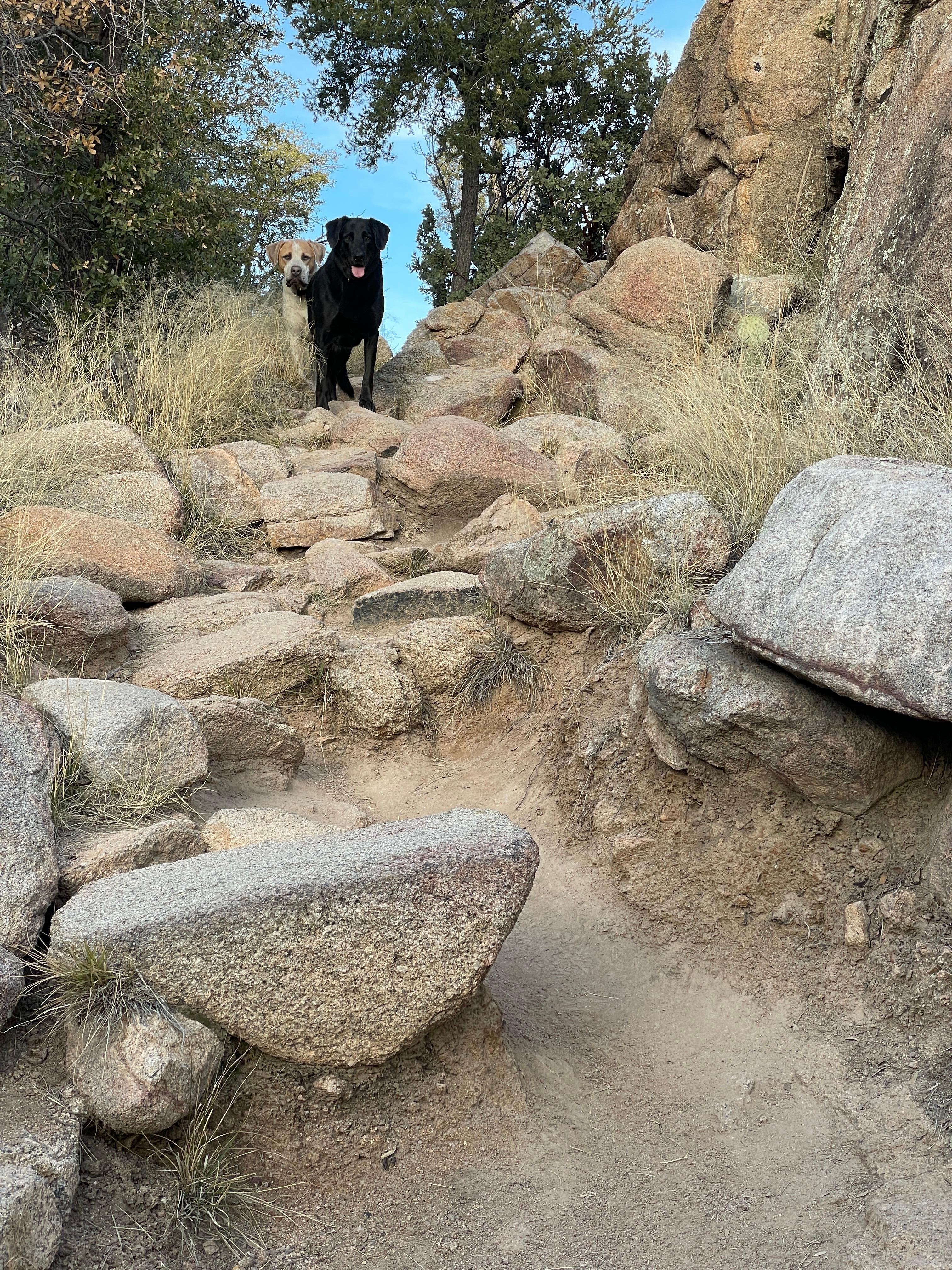 At Watson Lake, two minutes from the house. 
