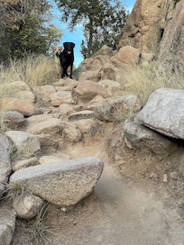 At Watson Lake, two minutes from the house.